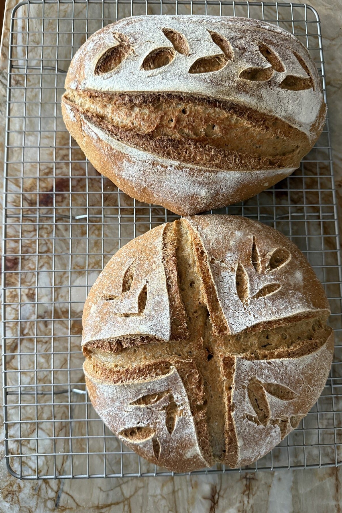 Two round country sourdough loaves centered on a cooling rack