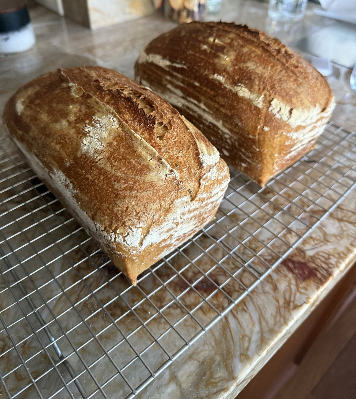 Two golden daily sandwich sourdough loaves cooling on a rack
